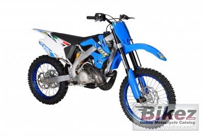 2011 TM Racing MX 250 photo